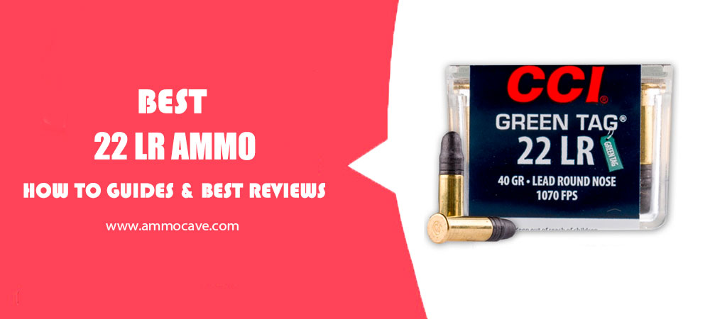 Best 22 LR Ammo