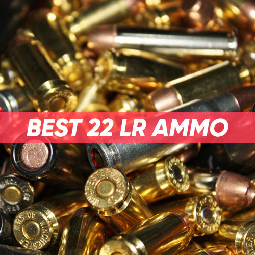 Read more about the article Best 22 LR Ammo
