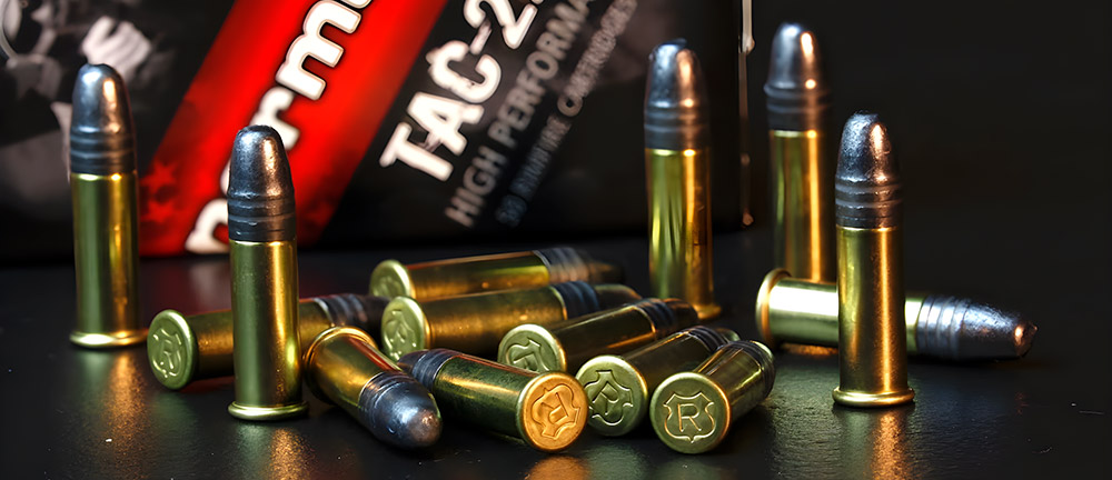 Best 22 LR Ammo