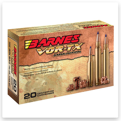 45-70 Government - 300 Grain TSX FN Rifle Cartridges - Barnes