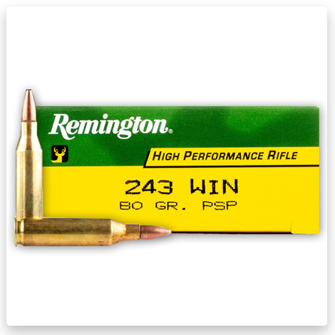 243 - 80 Grain PSP - Remington Rifle