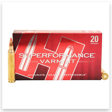 204 Ruger Ammo - 32 Grain V-MAX - Hornady