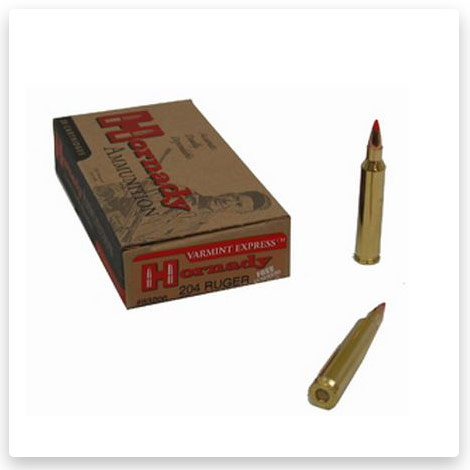 204 Ruger Ammo - 40 Grain V-MAX - Hornady