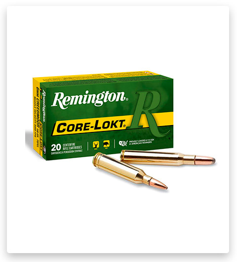 7x64mm Brenneke - 140 Grain Core-Lokt SP - Remington