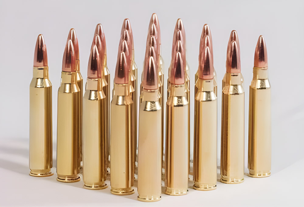 5.56 Ammo