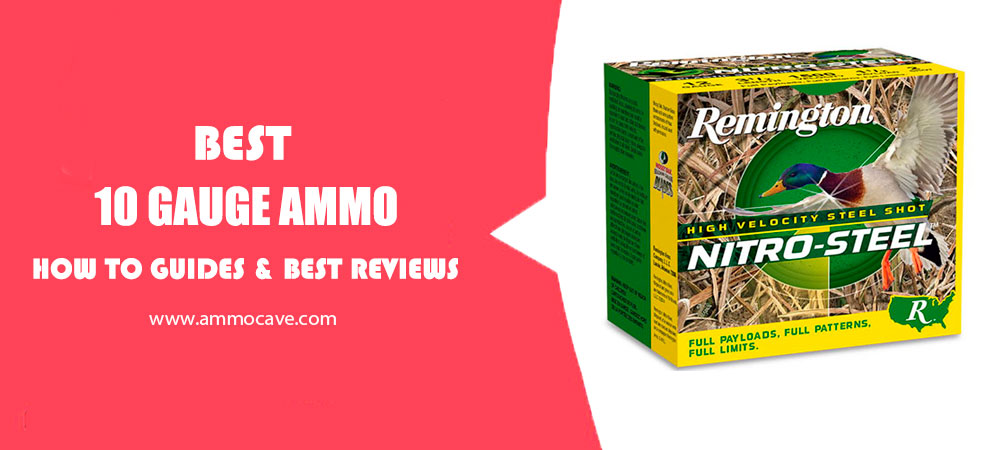 Best 10 Gauge Ammo