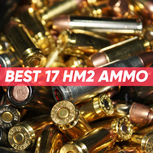 Best 17 HM2 Ammo