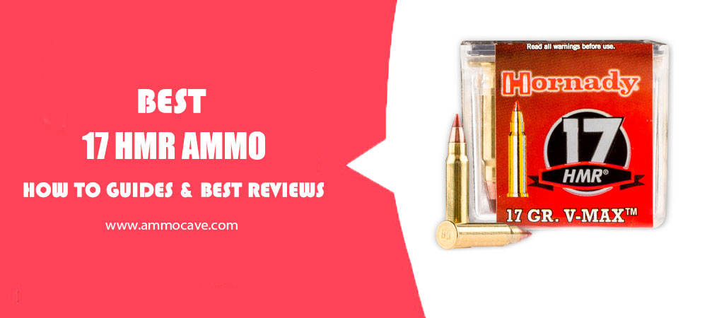 Best 17 HMR Ammo