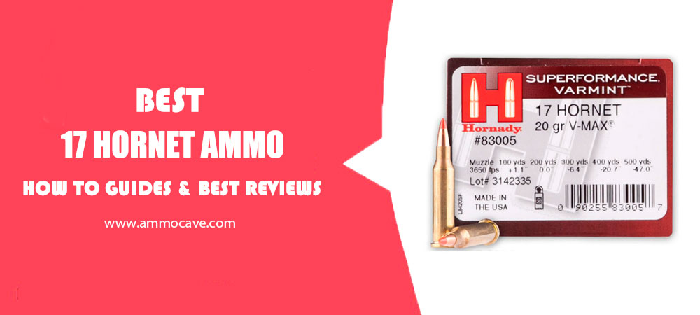 Best 17 Hornet Ammo