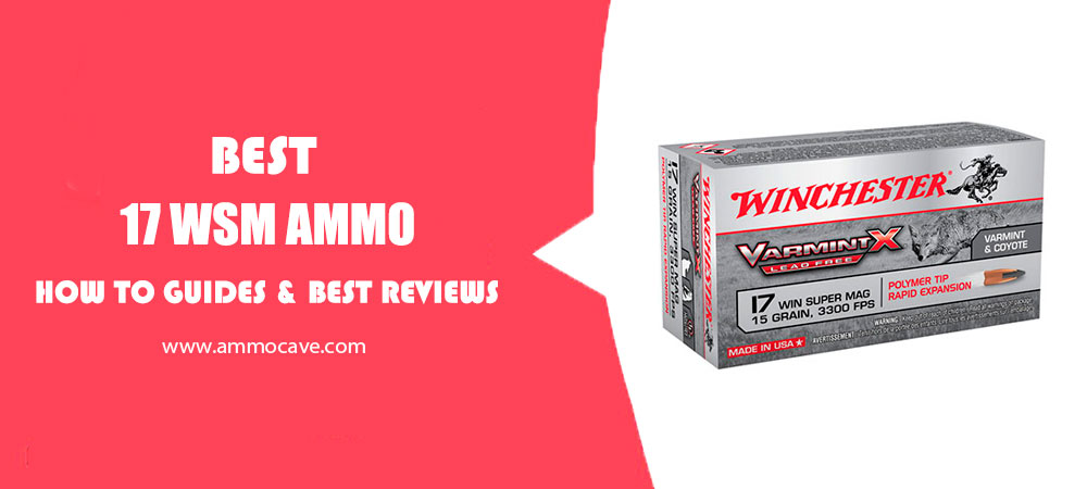 Best 17 WSM Ammo