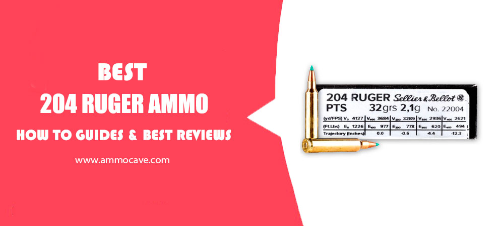 Best 204 Ruger Ammo