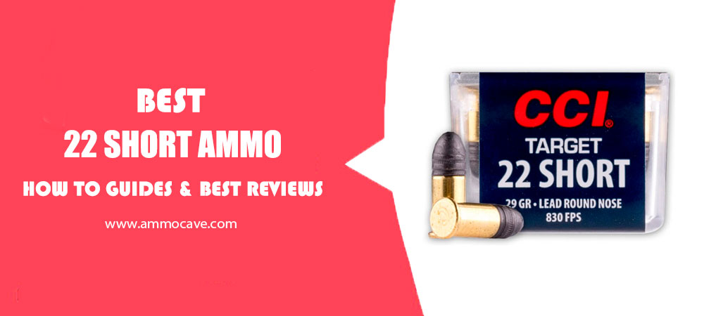 Best 22 Short Ammo