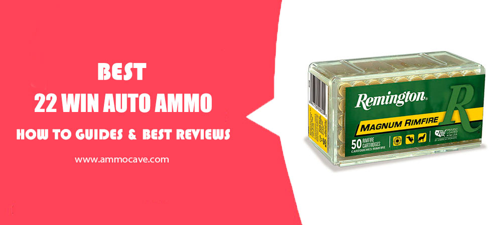 Best 22 Win Auto Ammo