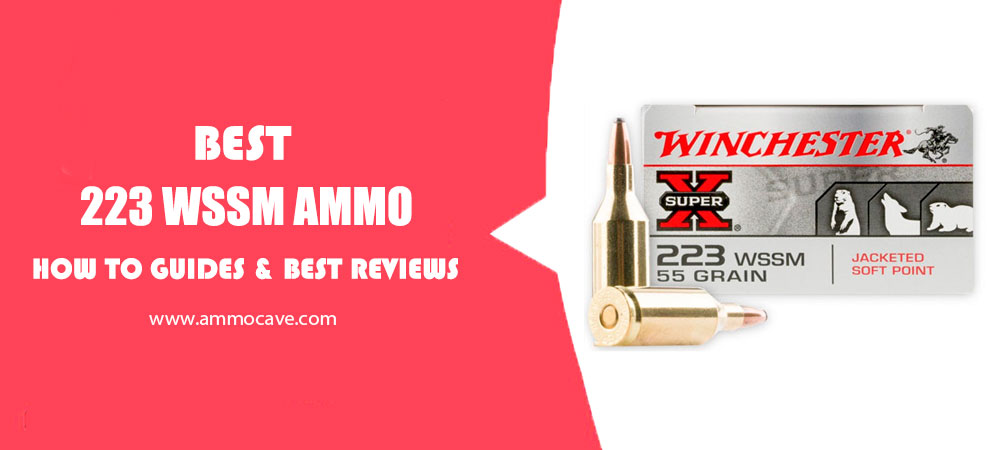 Best 223 WSSM Ammo