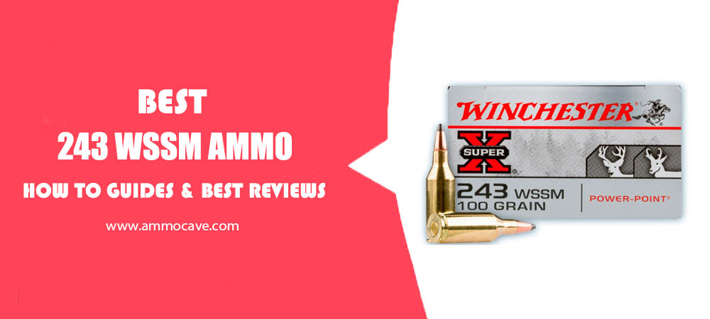 Best 243 WSSM Ammo