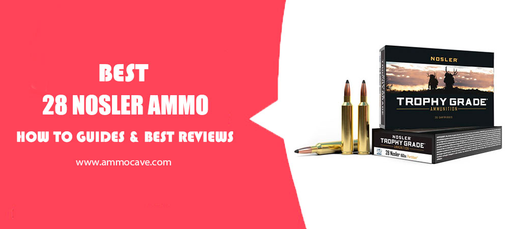 Best 28 Nosler Ammo