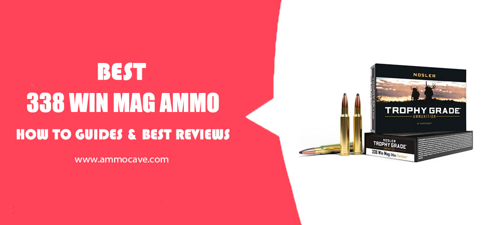 Best 338 Win Mag Ammo