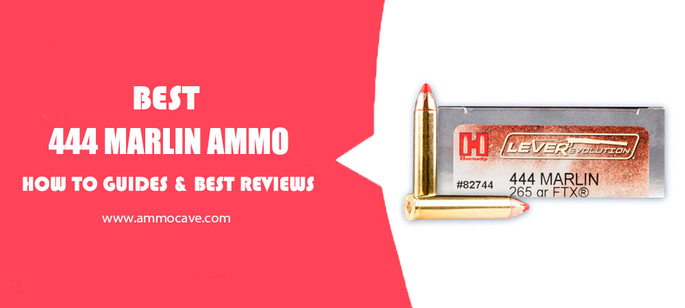 Best 444 Marlin Ammo