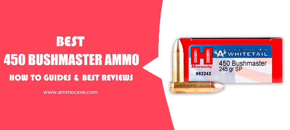 Best 450 Bushmaster Ammo