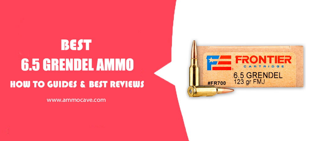 Best 6.5 Grendel Ammo