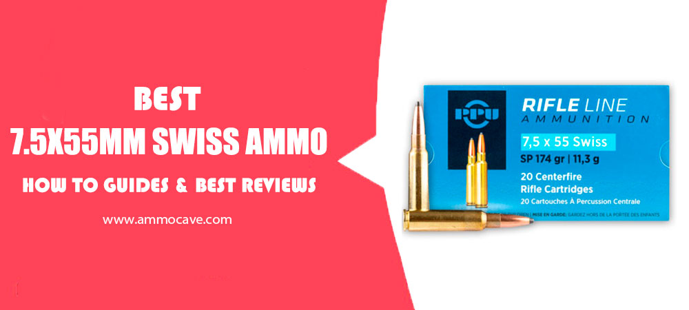 Best 7.5x55mm Swiss Ammo