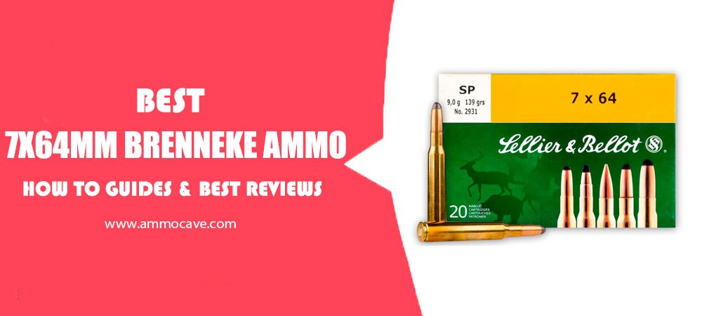 Best 7x64mm Brenneke Ammo