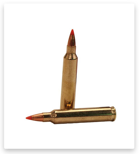 Hornady Superformance .204 Ruger V-MAX Ammunition