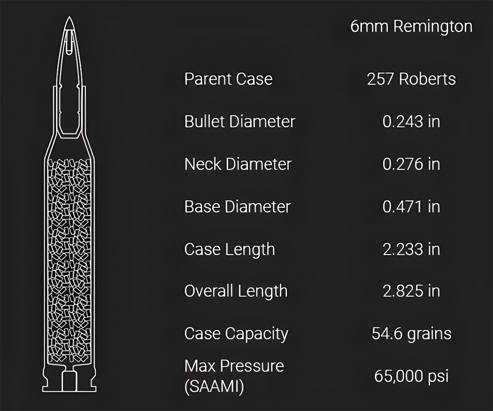 Best 6mm Remington Ammo - AmmoCave - Best Ammo