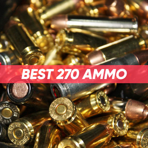 Read more about the article Best 270 Ammo