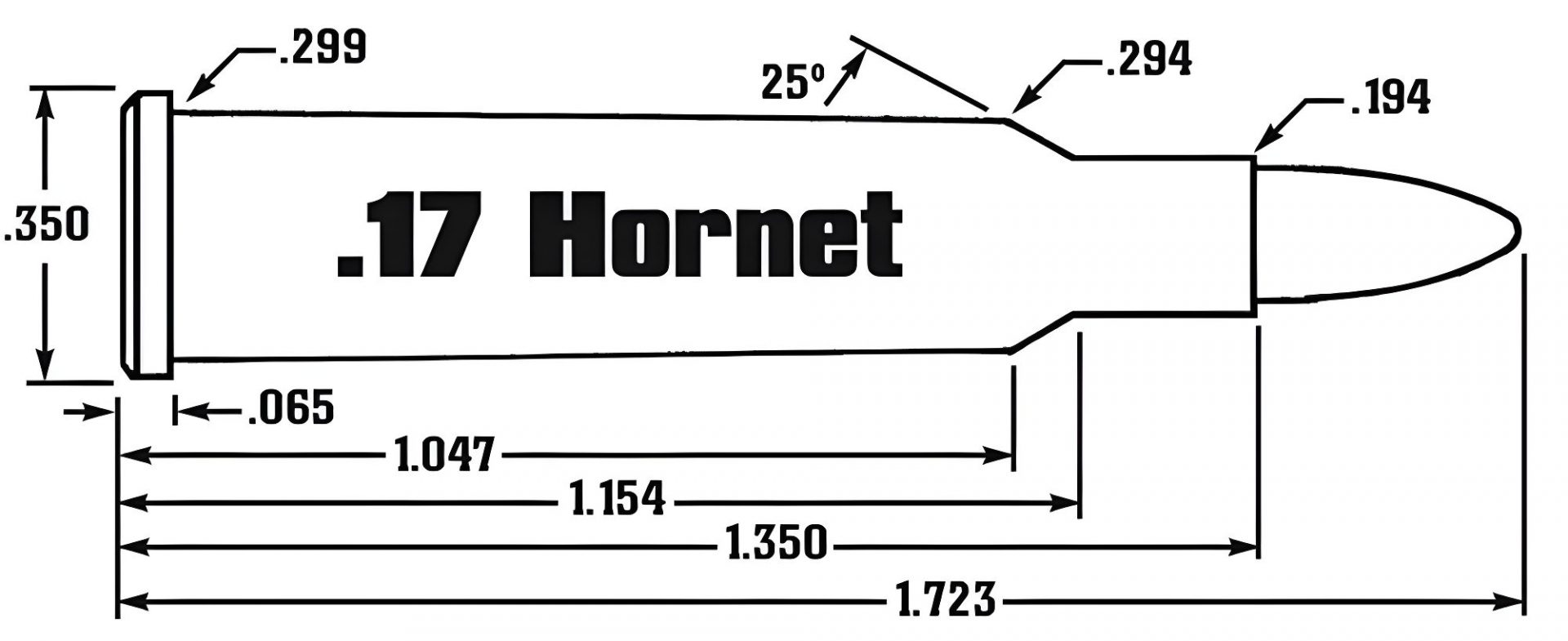 17 Hornet Ammo