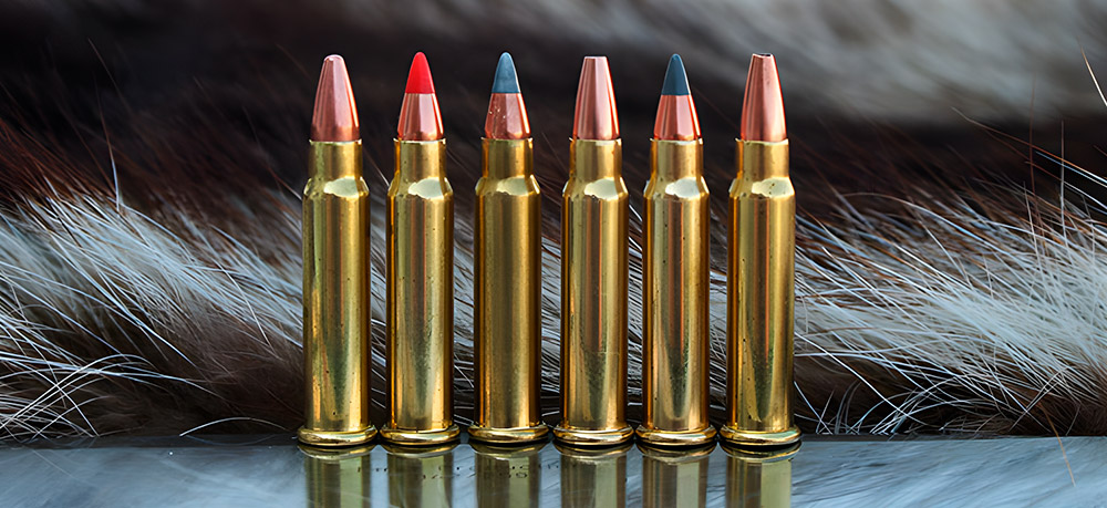 17 HMR Ammo