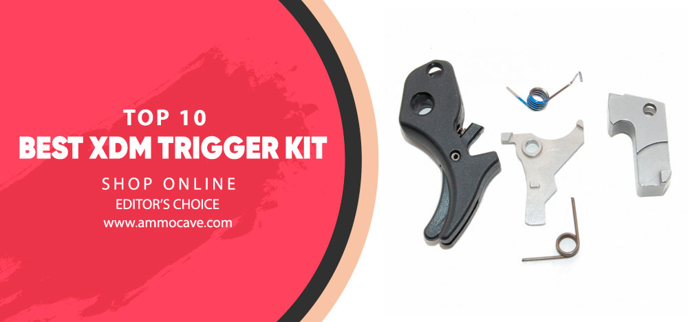 Powder River Precision XDM Trigger Kit