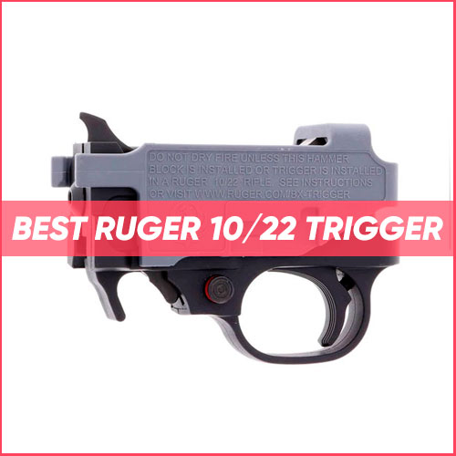 Read more about the article Best Ruger 10/22 Trigger 2022