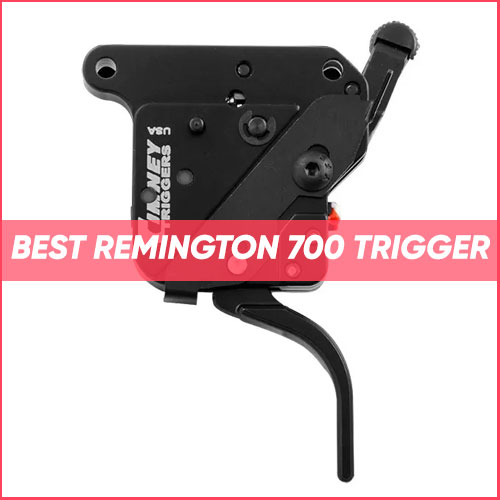 Best Remington 700 Trigger 2022