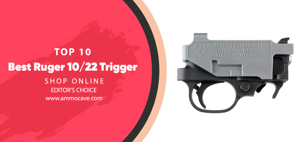 Best Ruger 10-22 Trigger Pro
