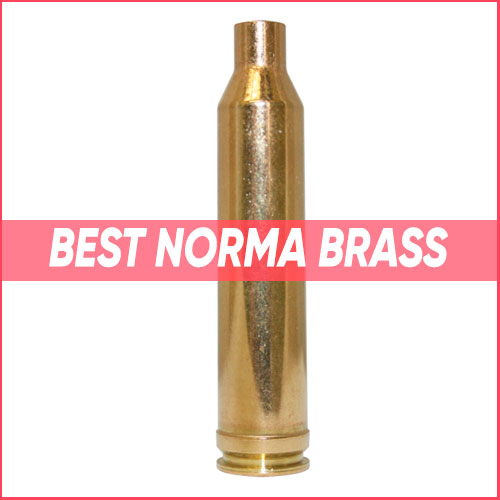 Norma Brass 2022
