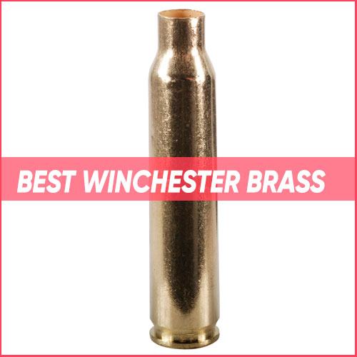 Best Winchester Brass 2022
