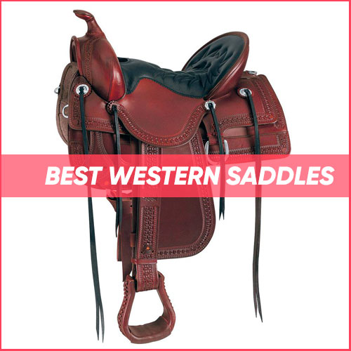 Best Western Saddles 2022