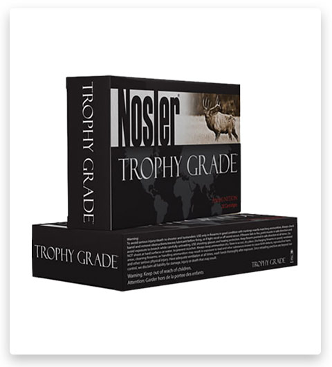 Nosler Trophy Grade .375 H&H Magnum AccuBond Brass