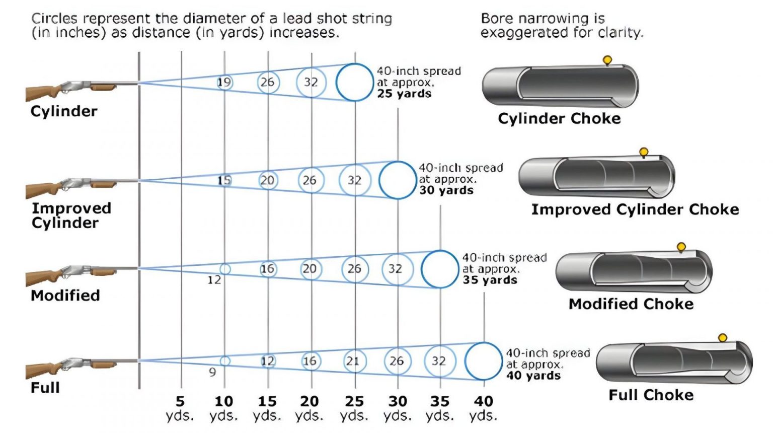 Best Choke For Pheasant 2024 TOP 20 🎯 Choke For Pheasant Hunting
