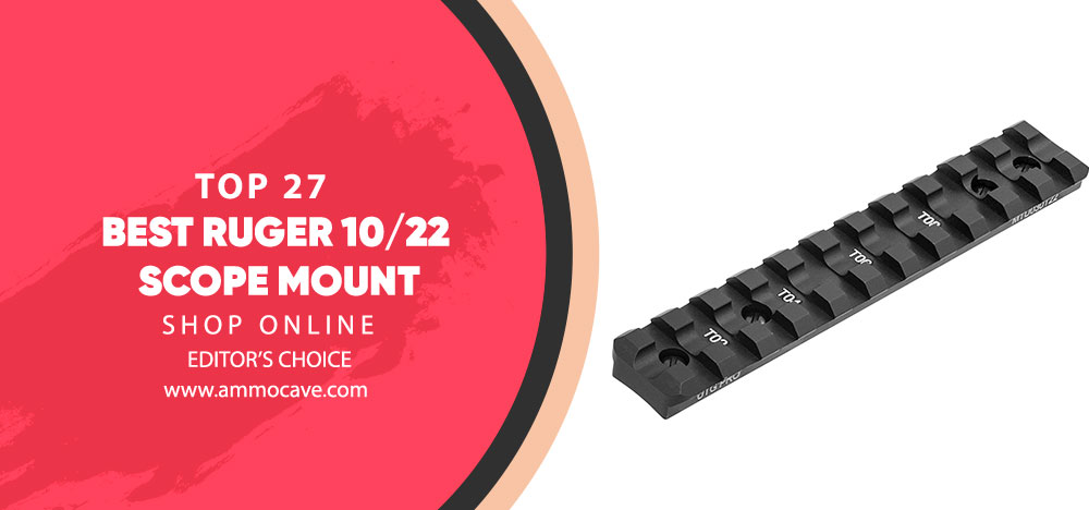 Best Ruger 10/22 Scope Mount