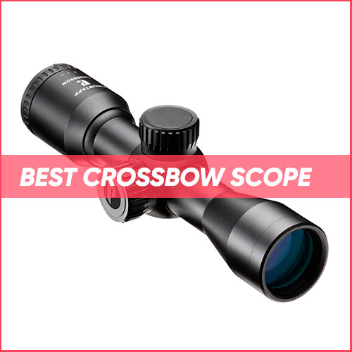 Best Crossbow Scope 2024