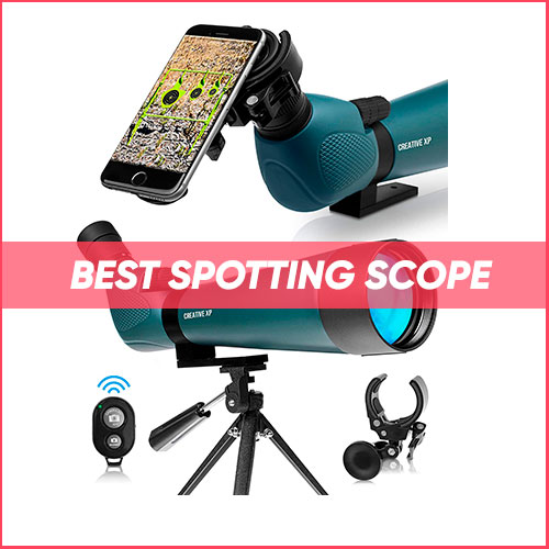 Read more about the article Best Spotting Scope 2023