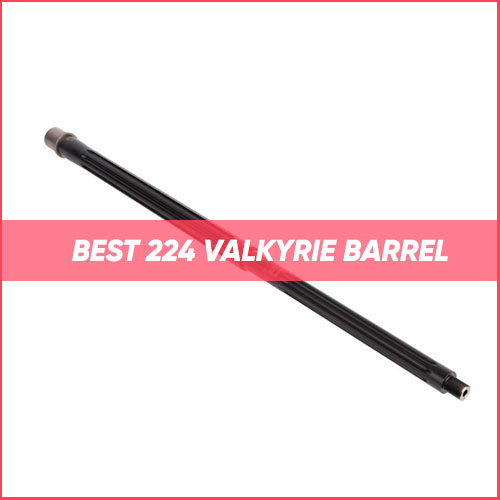 Best 224 Valkyrie Barrel 2023