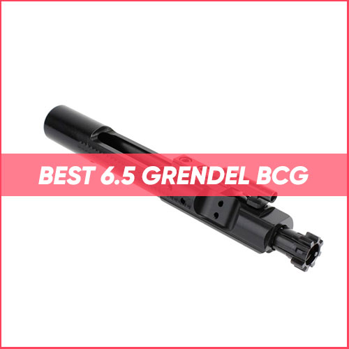 Best 6.5 Grendel BCG 2023