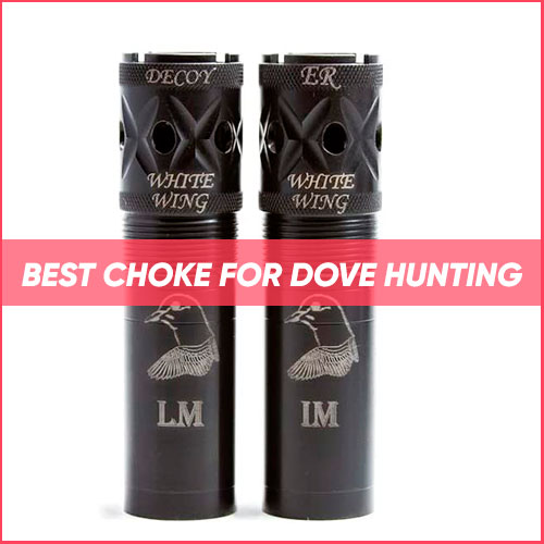 Best Choke For Dove Hunting 2023