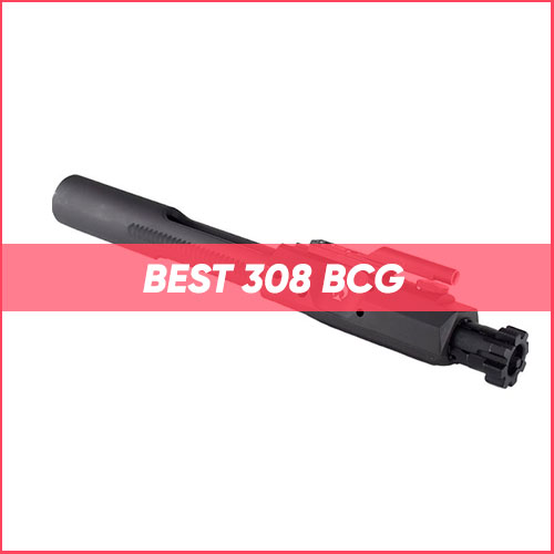 Read more about the article Best 308 BCG 2024