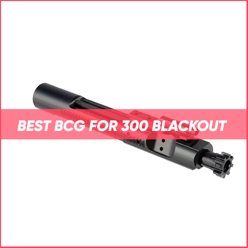 Read more about the article Best BCG For 300 Blackout 2022