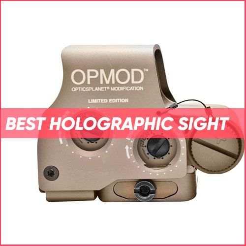 Read more about the article Best Holographic Sight 2023