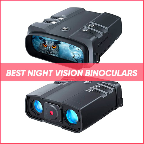 Read more about the article Best Night Vision Binoculars 2022